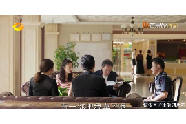 安康贷款清欠服务