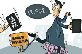 安康贷款清欠服务
